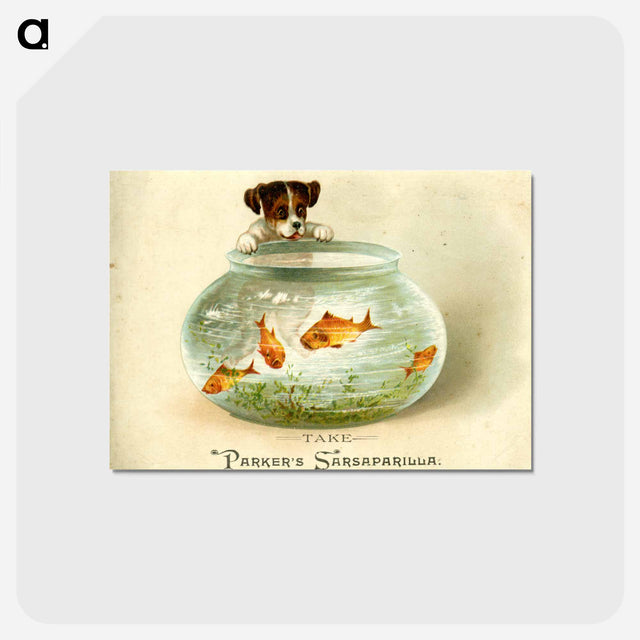 アートポストカード-Parker's Sarsaparilla
 - 国立医学図書館 Postcard.