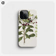 1-60_Native-Flowering-Plants-of-New-Zealand_phone