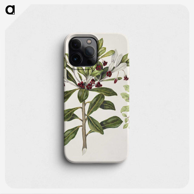 1-60_Native-Flowering-Plants-of-New-Zealand_phone