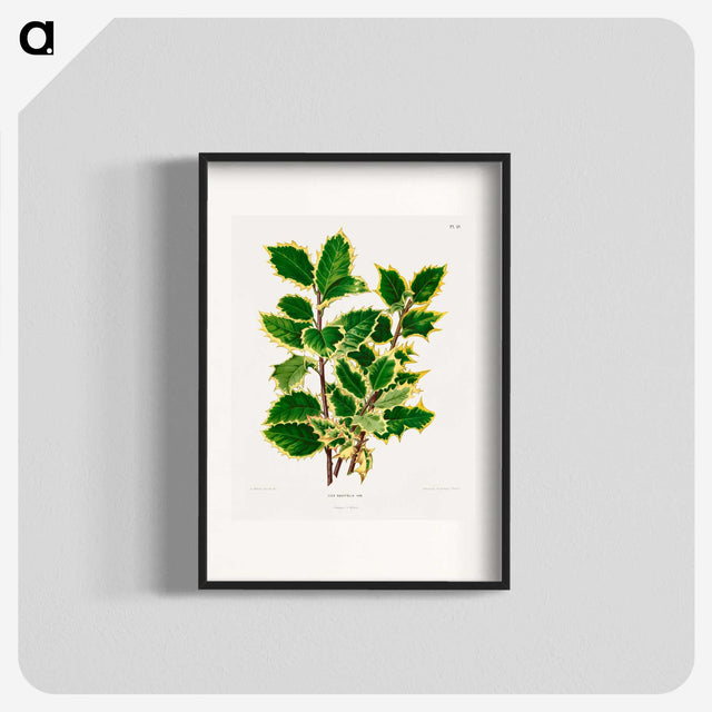 1-60_Nederlandsche-Flora-en-Pomona_blk