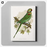 1-60_Parrots-in-Captivity_canvas