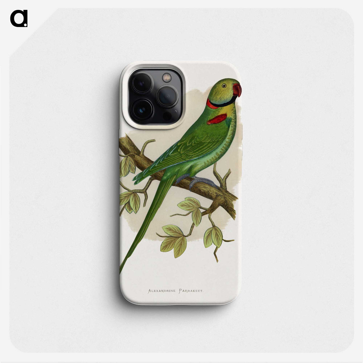 1-60_Parrots-in-Captivity_phone