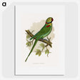 1-60_Parrots-in-Captivity_picture