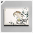 アートパネル-Osprey
 - 鳥類図鑑 Canvas.