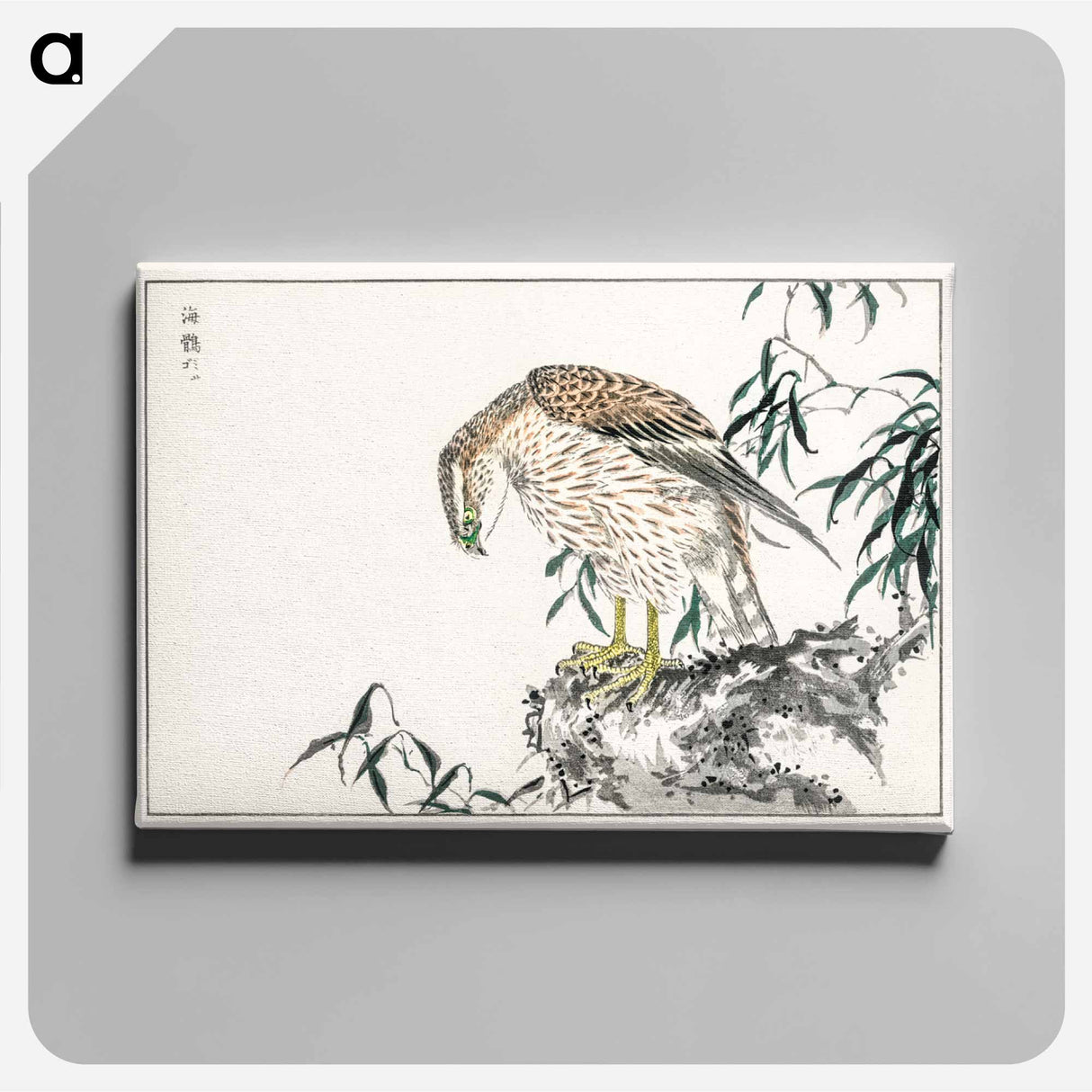 アートパネル-Osprey
 - 鳥類図鑑 Canvas.