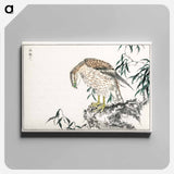 アートパネル-Osprey
 - 鳥類図鑑 Canvas.