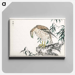 アートパネル-Osprey
 - 鳥類図鑑 Canvas.