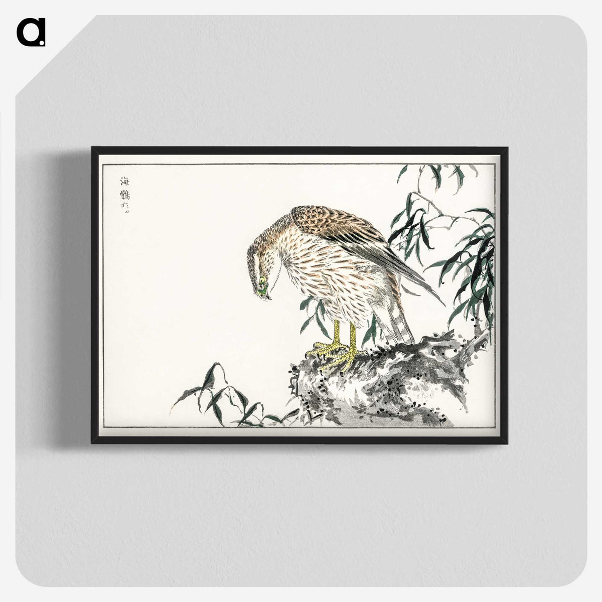 1-60_Pictorial-Monograph-of-Birds_blk-crop