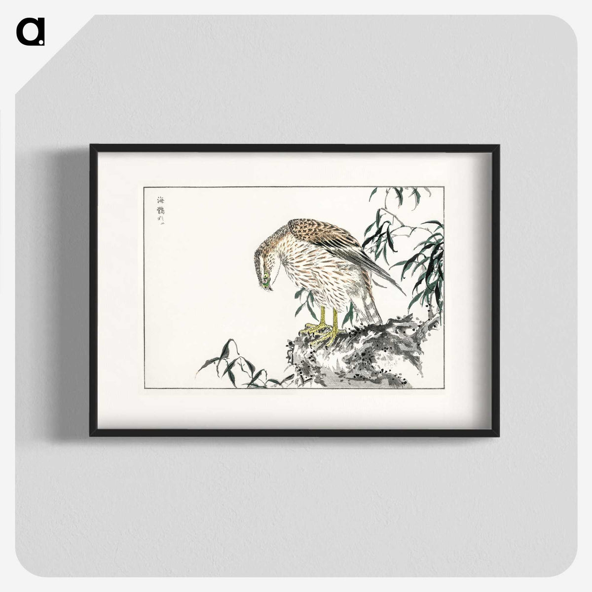1-60_Pictorial-Monograph-of-Birds_blk