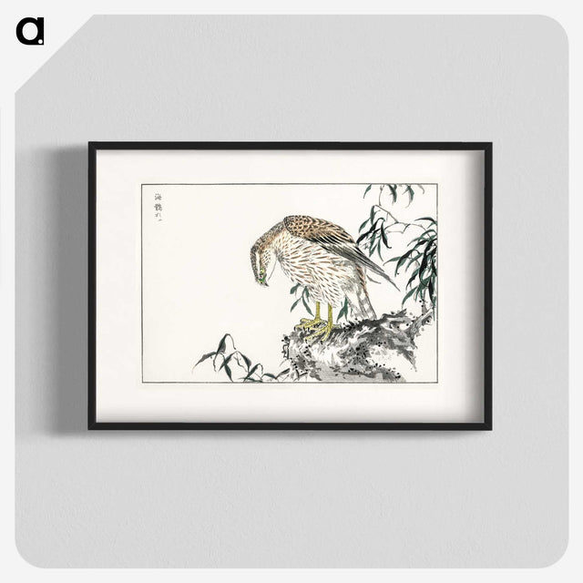 1-60_Pictorial-Monograph-of-Birds_blk