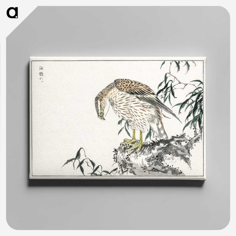 1-60_Pictorial-Monograph-of-Birds_canvas