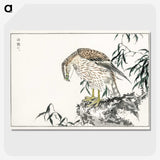 1-60_Pictorial-Monograph-of-Birds_picture-crop
