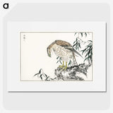 1-60_Pictorial-Monograph-of-Birds_picture