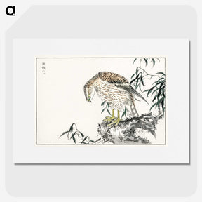 1-60_Pictorial-Monograph-of-Birds_picture