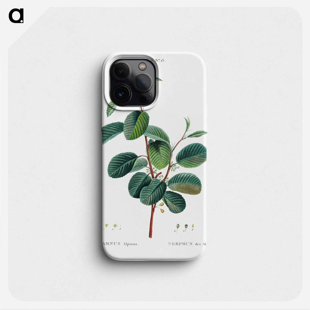 Alpine buckthorn - ピエール ジョゼフ ルドゥーテ Phone Case.