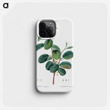 Alpine buckthorn - ピエール ジョゼフ ルドゥーテ Phone Case.