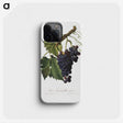 1-60_Pomona-Italiana_phone