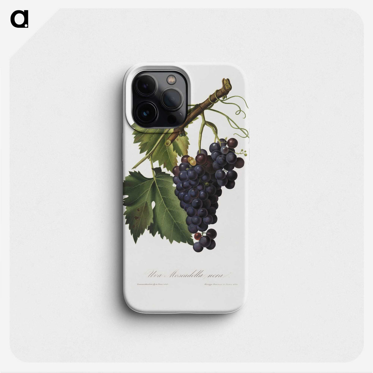 1-60_Pomona-Italiana_phone