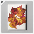 1-60_Reijer-Stolk_canvas