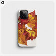 1-60_Reijer-Stolk_phone