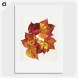 1-60_Reijer-Stolk_picture