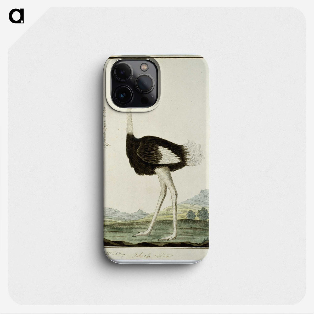 1-60_Robert-Jacob-Gordon_phone