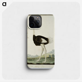1-60_Robert-Jacob-Gordon_phone