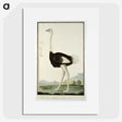 1-60_Robert-Jacob-Gordon_picture