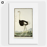 1-60_Robert-Jacob-Gordon_picture
