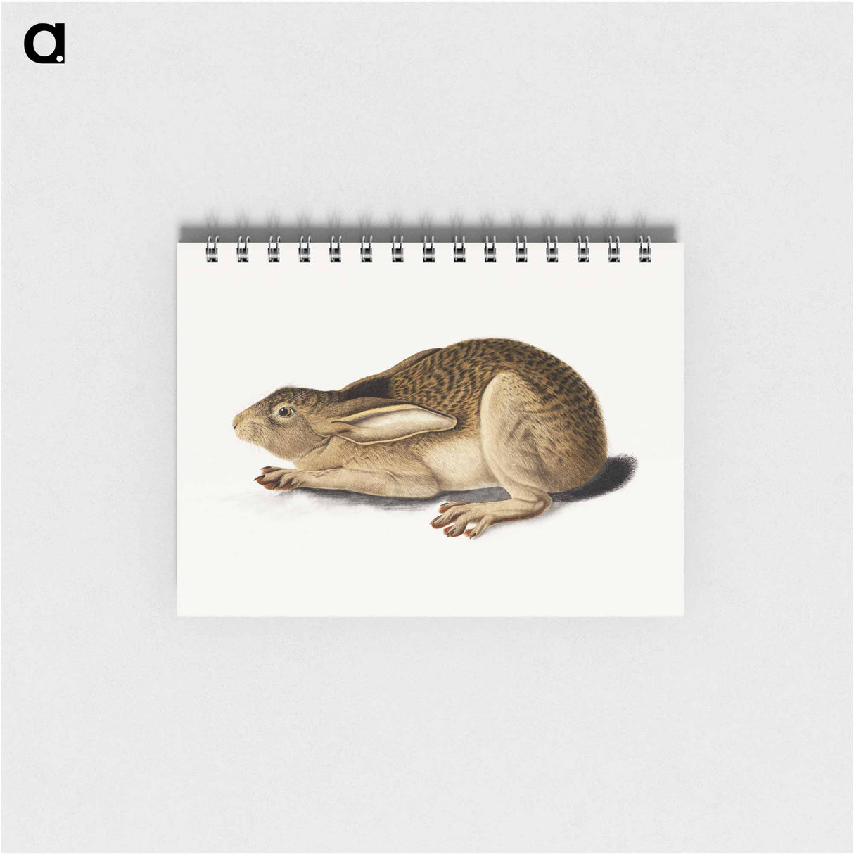 アートメモ帳-Black-Tailed Hare
 - セントルイス美術館 Memo.