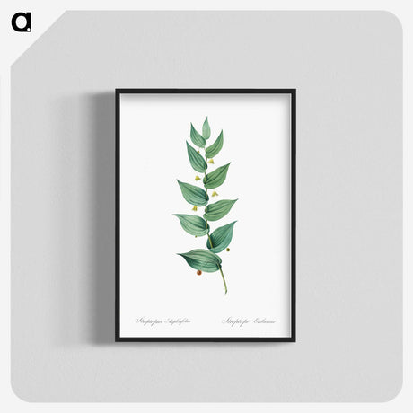 1-60_The-Lilies_blk-crop
