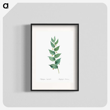 1-60_The-Lilies_blk