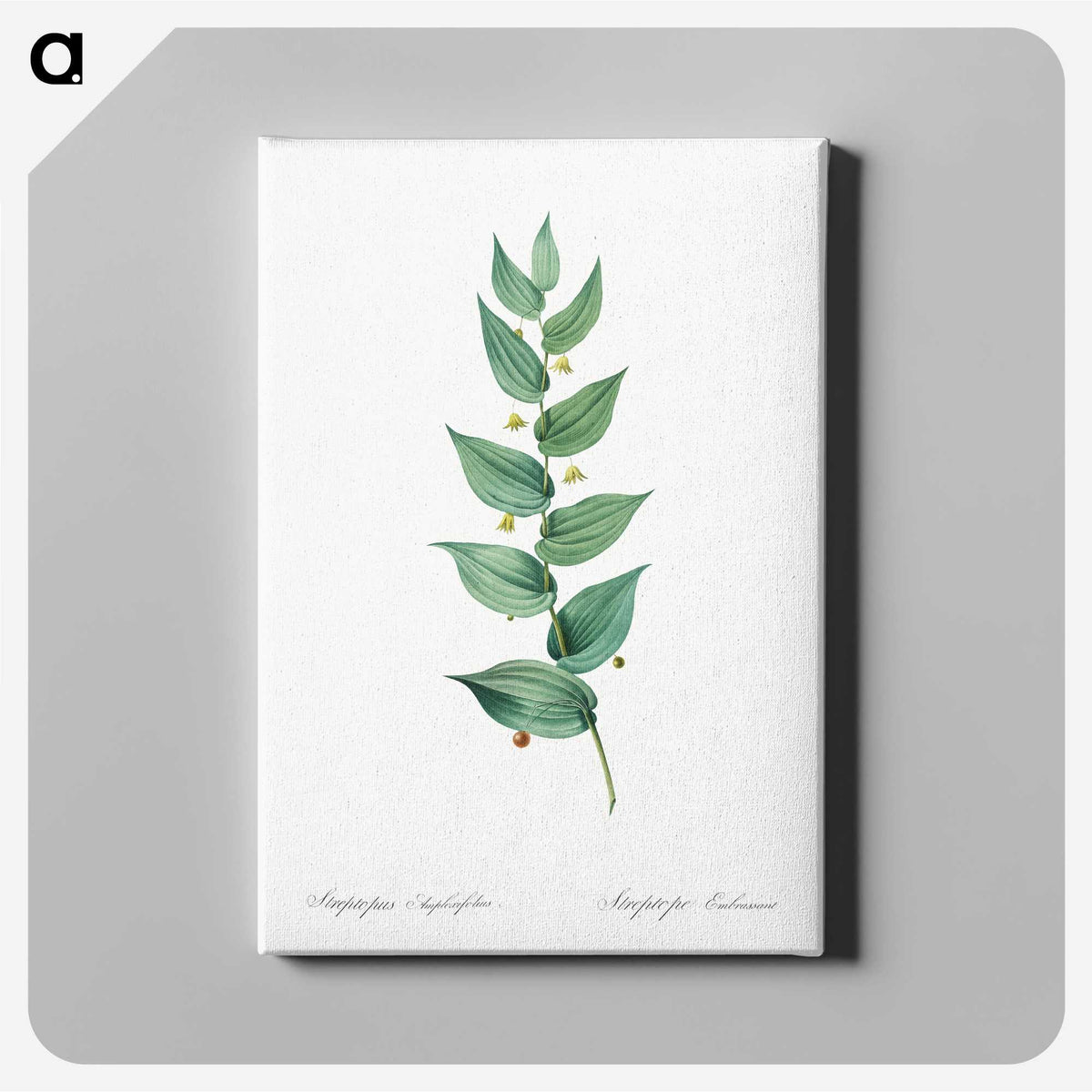 1-60_The-Lilies_canvas