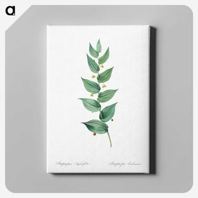 1-60_The-Lilies_canvas