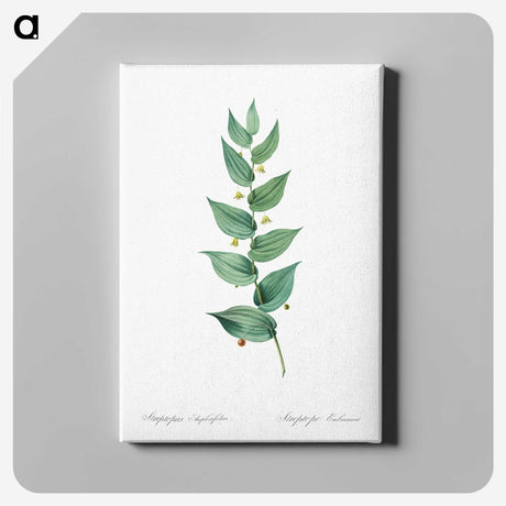 1-60_The-Lilies_canvas