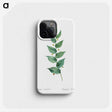 1-60_The-Lilies_phone