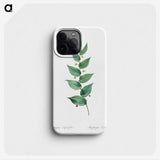 1-60_The-Lilies_phone