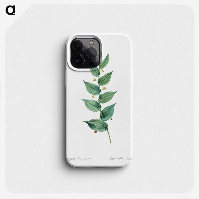 1-60_The-Lilies_phone