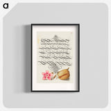 アートポスター-Dianthus and Almond from Mira Calligraphiae Monumenta
 - 書道のお手本 Poster.