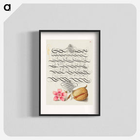 アートポスター-Dianthus and Almond from Mira Calligraphiae Monumenta
 - 書道のお手本 Poster.