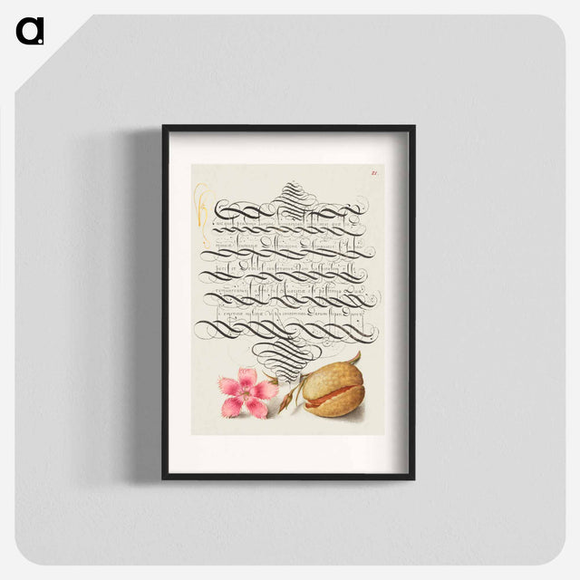 アートポスター-Dianthus and Almond from Mira Calligraphiae Monumenta
 - 書道のお手本 Poster.