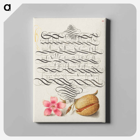 アートパネル-Dianthus and Almond from Mira Calligraphiae Monumenta
 - 書道のお手本 Canvas.