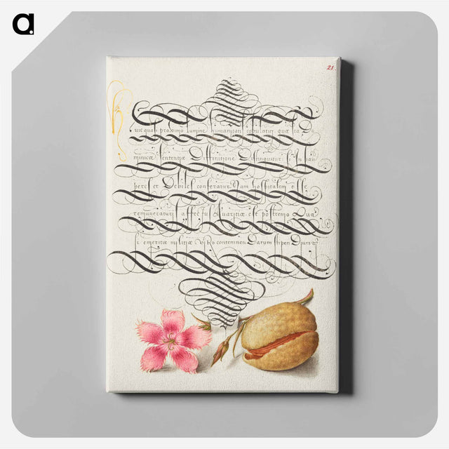 アートパネル-Dianthus and Almond from Mira Calligraphiae Monumenta
 - 書道のお手本 Canvas.