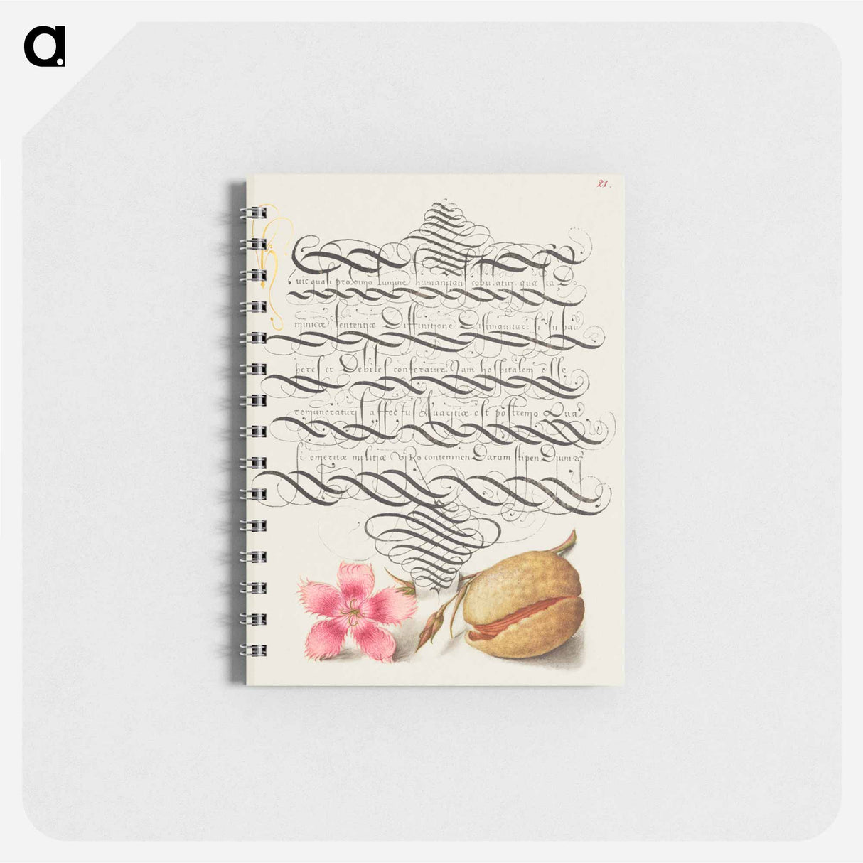 アートメモ帳-Dianthus and Almond from Mira Calligraphiae Monumenta
 - 書道のお手本 Memo.