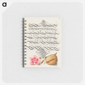 アートメモ帳-Dianthus and Almond from Mira Calligraphiae Monumenta
 - 書道のお手本 Memo.