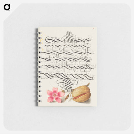 アートメモ帳-Dianthus and Almond from Mira Calligraphiae Monumenta
 - 書道のお手本 Memo.