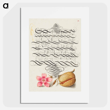 アートポスター-Dianthus and Almond from Mira Calligraphiae Monumenta
 - 書道のお手本 Poster.