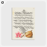 アートポストカード-Dianthus and Almond from Mira Calligraphiae Monumenta
 - 書道のお手本 Postcard.