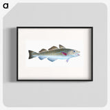 1-60_The-Natural-History-of-British-Fishes_blk