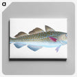 1-60_The-Natural-History-of-British-Fishes_canvas